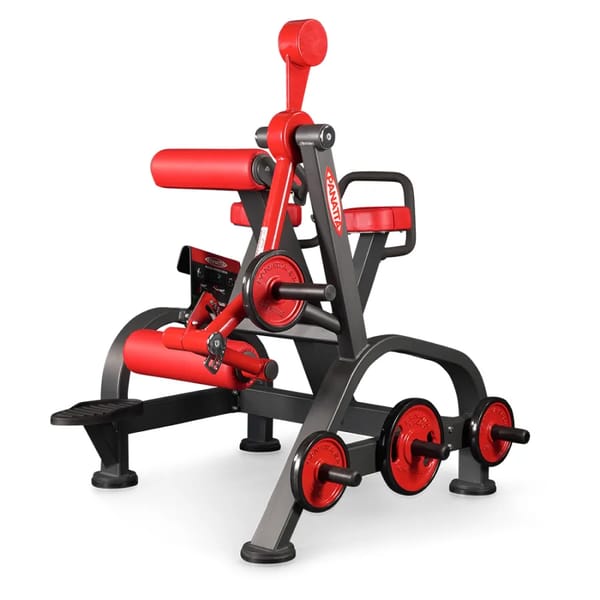 Panatta FreeWeight Special Reverse Hyperextension 1FW096