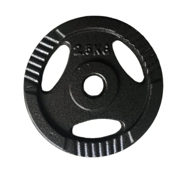 Protech Demir Kaplama Flanş Ağırlık - 2.5 KG