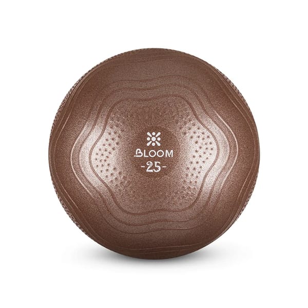 Protech 25 Cm Mini Pilates Topu - Kahverengi