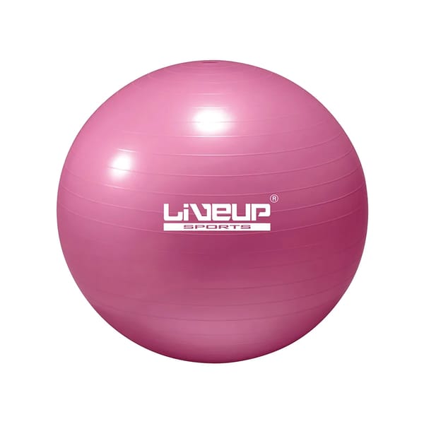 Protech Pilates Topu - 65cm - Pembe