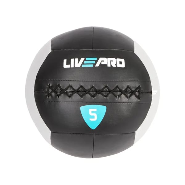 Protech Wall Ball 5 KG