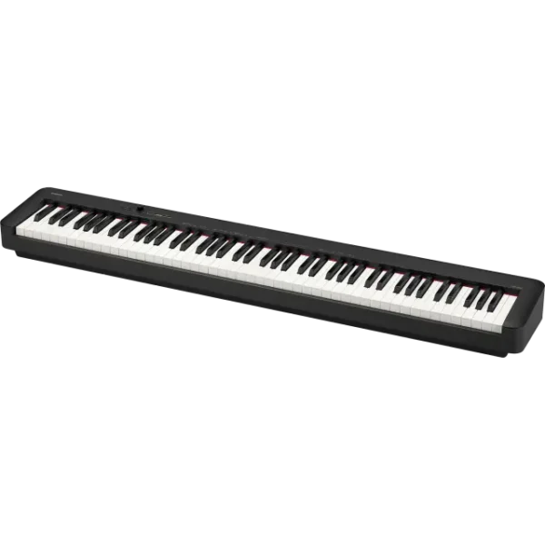 Casio Portable Digital Piano