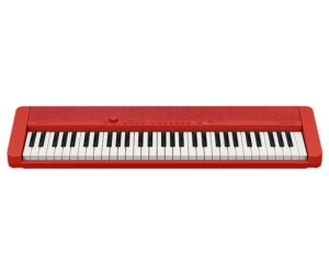 Casio Casiotone 61 Tuşlu Org