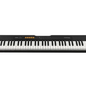 Casio Casiotone Standard 61 Tuşlu Org