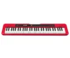 Casio Casiotone Standard 61 Tuşlu Org