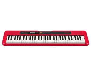 Casio Casiotone Standard 61 Tuşlu Org