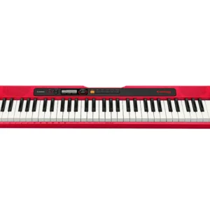Casio Casiotone Standard 61 Tuşlu Org