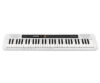 Casio Casiotone Standard 61 Tuşlu Org