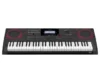 Casio  Standard 61 Tuşlu Org(HIGH GRADE KEYBORDS)
