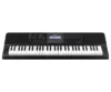 Casio  Standard 61 Tuşlu Org(HIGH GRADE KEYBORDS)