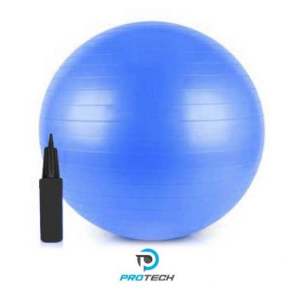 Logo Anti-Burst Ball +6'' Handpumpsize: Pvc 55Cm/800Gcolor: Mavi