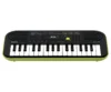 Casio Mini Org(Keyboard)
