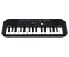 Casio Mini Org(Keyboard)