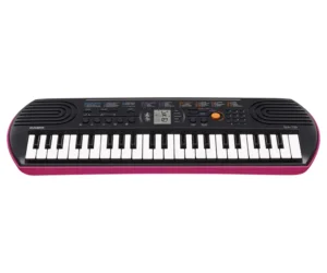 Casio Mini Org(Keyboard)