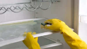 Buzdolabı Nasıl Temizlenir Buzdolabı Modelleri