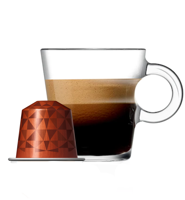 Capetown Envivo Lungo Nespresso Kahve Kapsül - 10 Kapsül - KKTC Bi Sipariş