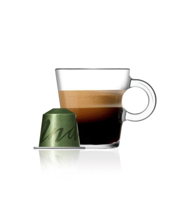 Hindistan Nespresso Kahve Kapsül - 10 Kapsül - Kktc Bi Sipariş
