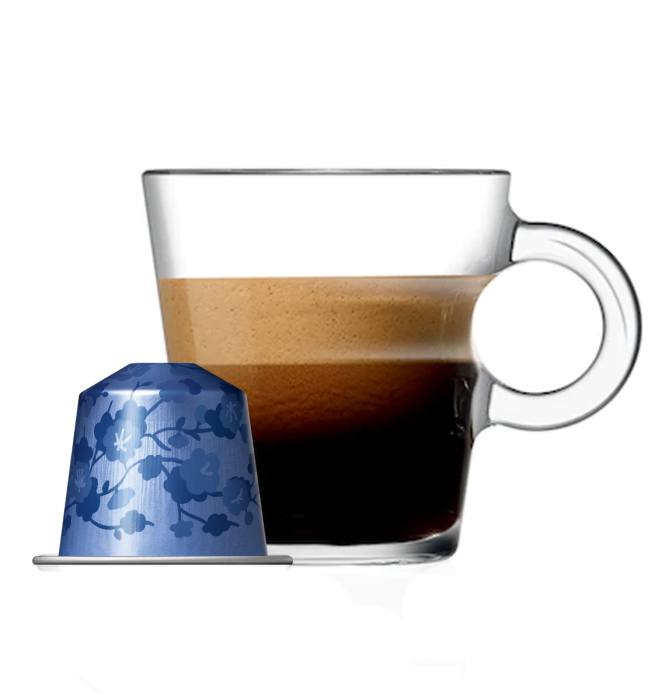 Tokyo Vivalto Lungo Nespresso Kahve Kapsül - 10 Kapsül - KKTC Bi Sipariş