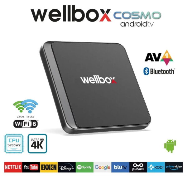 Wellbox Cosmo Android Tv Box (2Gb+16Gb)