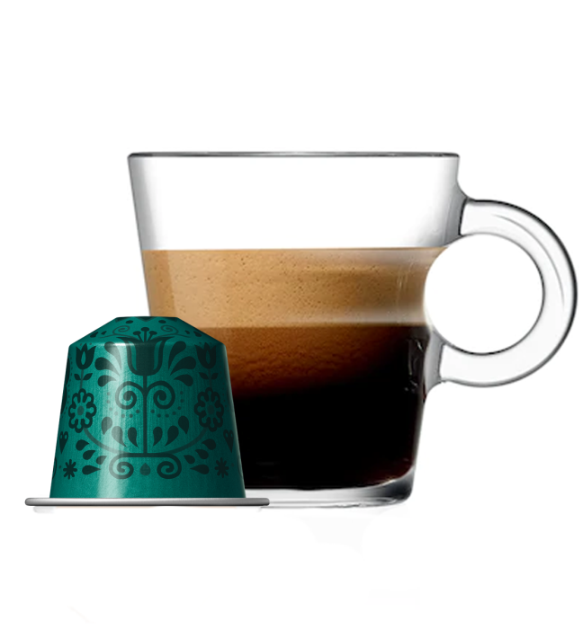 Stockholm Fortissio Lungo Nespresso Kahve Kapsül - 10 Kapsül - KKTC Bi Sipariş