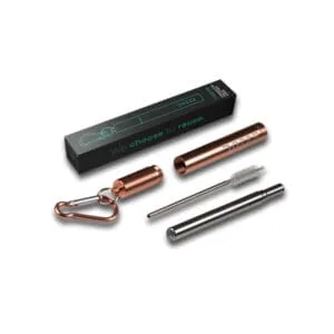 DOZZE Kılıflı Katlanabilir Pipet, Gül Altını