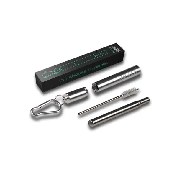 DOZZE Kılıflı Katlanabilir Pipet, Platin Gri