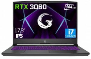 Gamegaraj Slayer2 D5 7Xl-3060 C1 I7-12700H 16Gb 500Gb Rtx3060 17.3" KKTC