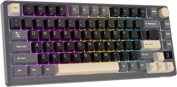 Klavye Royal Kludge M75 Phantom Kablosuz Silver Switch Us Layout Kktc 1 Kktc - Online Alışveriş Bi Sipariş