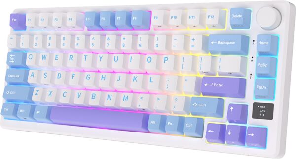 Klavye Royal Kludge M75 Taro Milk Kablosuz Silver Switch Us Layout - Görsel 2