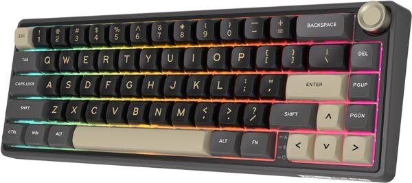 Klavye Royal Kludge R65 Phantom Chartreuse Switch Us Layout Kktc 2 Kktc - Online Alışveriş Bi Sipariş