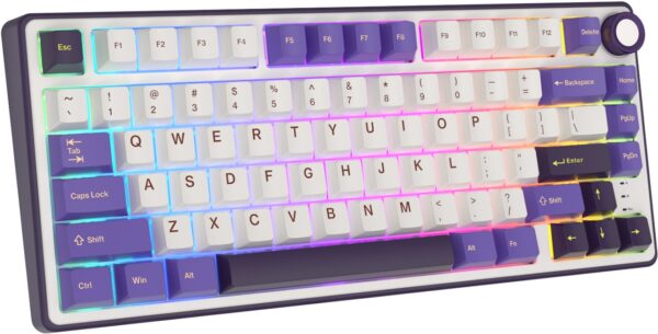 Klavye Royal Kludge R75 Blackberry Silver Switch Us Layout Kktc 1 Kktc - Online Alışveriş Bi Sipariş