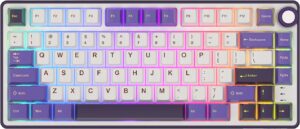 Klavye Royal Kludge R75 Blackberry Silver Switch Us Layout KKTC