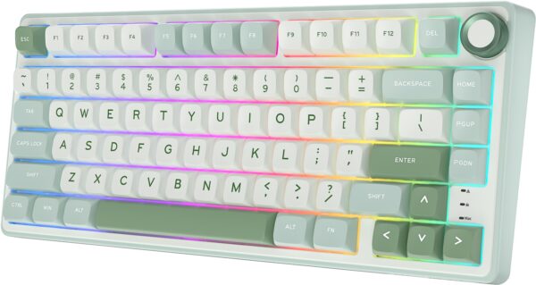 Klavye Royal Kludge R75 Sky Cyan Silver Switch Us Layout Kktc 1 Kktc - Online Alışveriş Bi Sipariş