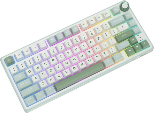Klavye Royal Kludge R75 Sky Cyan Silver Switch Us Layout Kktc 2 Kktc - Online Alışveriş Bi Sipariş