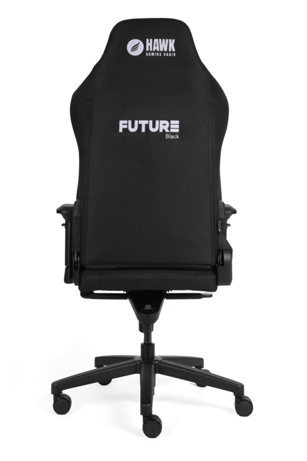 Koltuk Hawk Future Black Kumas Oyuncu Koltugu Kktc 3 Kktc - Online Alışveriş Bi Sipariş