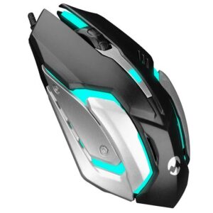 Everest SM-G72 USB Siyah/Gümüş Işıklandırmalı Oyuncu Mouse-Everest KKTC