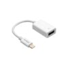 Hytech HY-XO48 Beyaz USB F to Lightning 10cm OTG Çevirici-Hytech KKTC