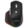 Everest Smw-178 Handy 2In1 Bluetooth+ 2.4Ghz 4000 Dpi Rgb Mouse Siyah KKTC