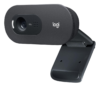 Webcam Logıtech C505 Hd 960-001364 KKTC