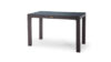 Heniver Rattan Camlı Masa 70x120cm - Görsel 3