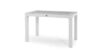 Heniver Rattan Camlı Masa 70x120cm - Görsel 4
