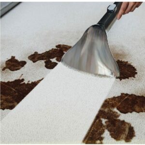 Dik Süpürge HOOVER HS5 Sıcak Nokta Yıkama ve Kurutma HS530 011 siyah