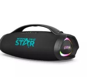 Winning Star Taşınabilir Party Box St-8100
