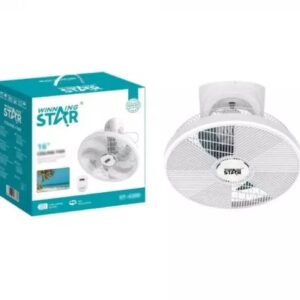Winning Star Duvar Üstü Vantilatör St-4300