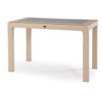 Heniver Rattan Camlı Masa 70x120cm