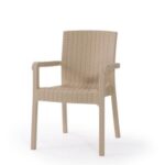 Heniver Vektör Rattan Sandalye