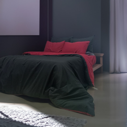 Koyu Minimal Çift Kişilik Nevresim Takımı - Kırmızı/Siyah