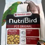 Versele Laga P15 Pellet Original Papağan Yemi̇ Kuş Yemi ve Vitaminleri