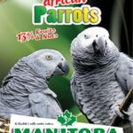 Mani̇toba Afri̇can Papağan Yemi̇ 2Kg Kuş Yemi ve Vitaminleri