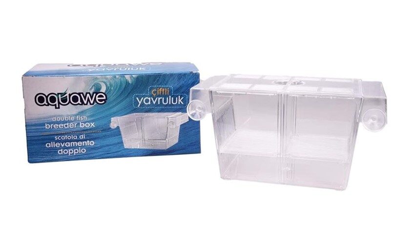 -Balik Yavruluk Büyük Balık Yavruluk Ekipmanları-kktc